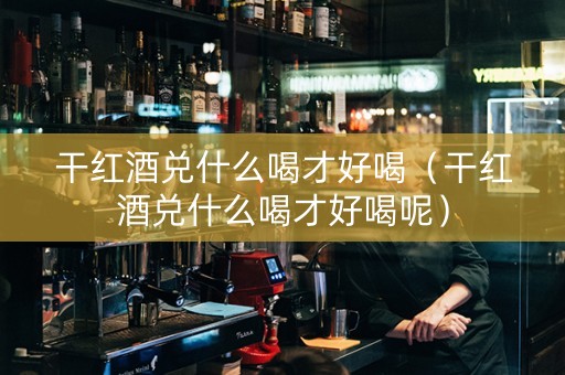 干红酒兑什么喝才好喝（干红酒兑什么喝才好喝呢）