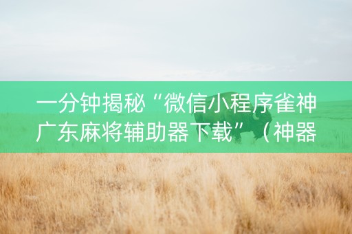 一分钟揭秘“微信小程序雀神广东麻将辅助器下载”（神器最新免费)