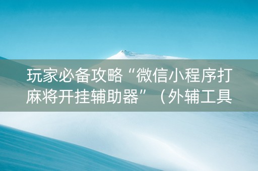 玩家必备攻略“微信小程序打麻将开挂辅助器”（外辅工具)