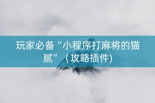 玩家必备“小程序打麻将的猫腻”（攻略插件)