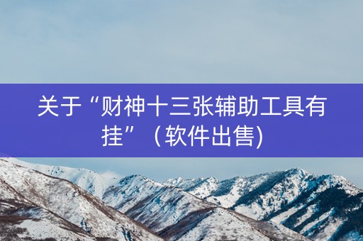 关于“财神十三张辅助工具有挂”（软件出售)