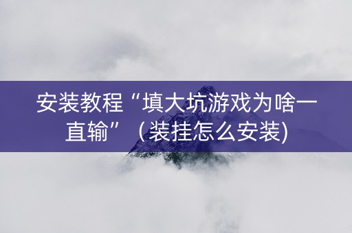 安装教程“填大坑游戏为啥一直输”（装挂怎么安装)
