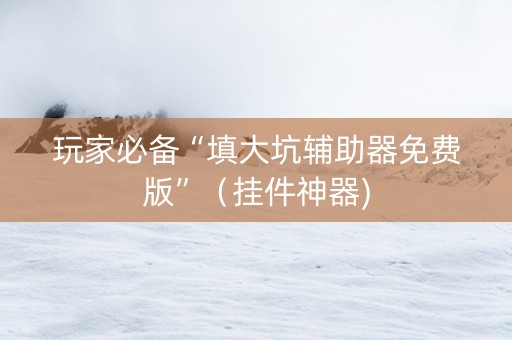 玩家必备“填大坑辅助器免费版”（挂件神器)