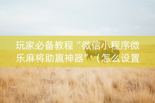 玩家必备教程“微信小程序微乐麻将助赢神器”（怎么设置能有好牌)