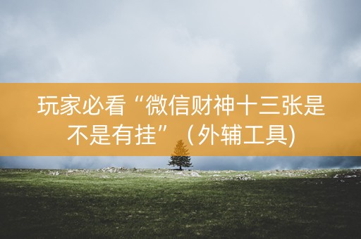 玩家必看“微信财神十三张是不是有挂”（外辅工具)