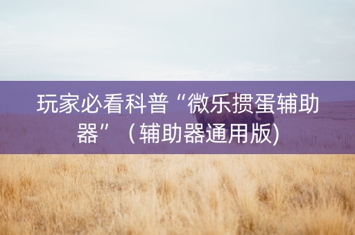 玩家必看科普“微乐掼蛋辅助器”（辅助器通用版)