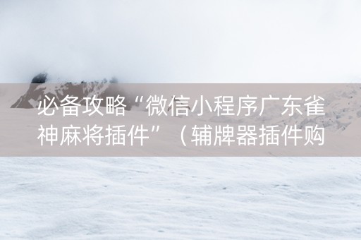 必备攻略“微信小程序广东雀神麻将插件”（辅牌器插件购买)