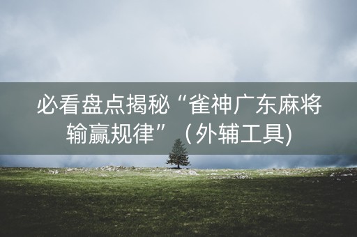 必看盘点揭秘“雀神广东麻将输赢规律”（外辅工具)
