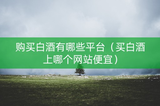 购买白酒有哪些平台（买白酒上哪个网站便宜）