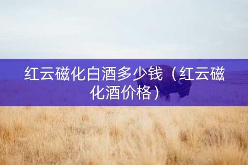 红云磁化白酒多少钱（红云磁化酒价格）