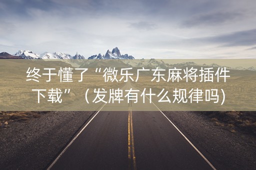 终于懂了“微乐广东麻将插件下载”（发牌有什么规律吗)