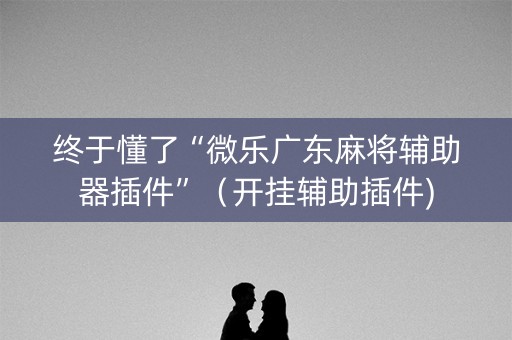 终于懂了“微乐广东麻将辅助器插件”（开挂辅助插件)