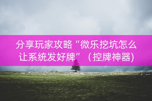 分享玩家攻略“微乐挖坑怎么让系统发好牌”（控牌神器)