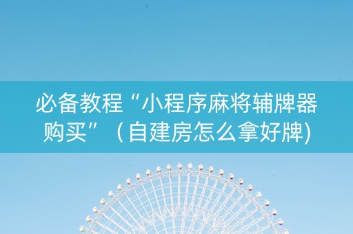 必备教程“小程序麻将辅牌器购买”（自建房怎么拿好牌)
