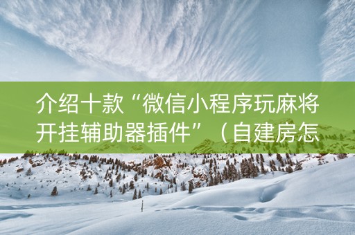 介绍十款“微信小程序玩麻将开挂辅助器插件”（自建房怎么赢)