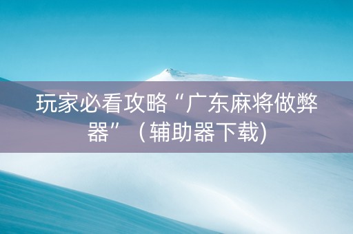 玩家必看攻略“广东麻将做弊器”（辅助器下载)
