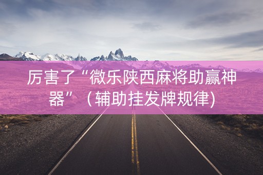 厉害了“微乐陕西麻将助赢神器”（辅助挂发牌规律)