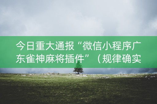 今日重大通报“微信小程序广东雀神麻将插件”（规律确实有挂)