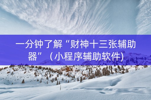 一分钟了解“财神十三张辅助器”（小程序辅助软件)