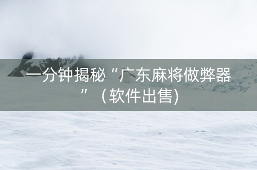 一分钟揭秘“广东麻将做弊器”（软件出售)
