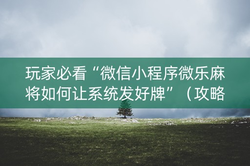 玩家必看“微信小程序微乐麻将如何让系统发好牌”（攻略插件)