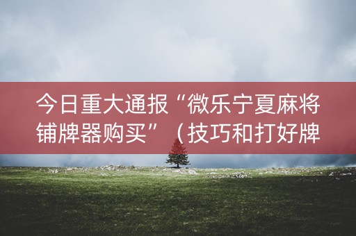 今日重大通报“微乐宁夏麻将铺牌器购买”（技巧和打好牌方法)