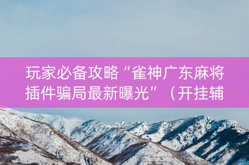 玩家必备攻略“雀神广东麻将插件骗局最新曝光”（开挂辅助插件)