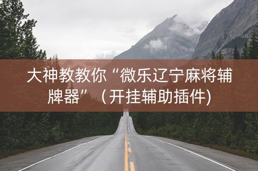 大神教教你“微乐辽宁麻将辅牌器”（开挂辅助插件)