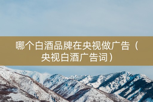 哪个白酒品牌在央视做广告（央视白酒广告词）