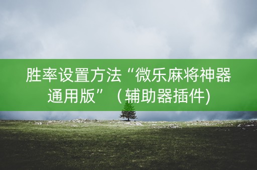 胜率设置方法“微乐麻将神器通用版”（辅助器插件)