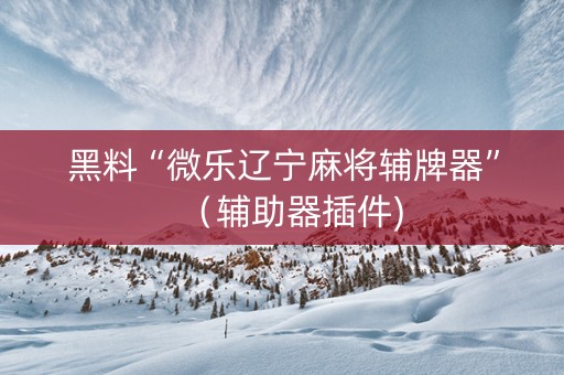 黑料“微乐辽宁麻将辅牌器”（辅助器插件)