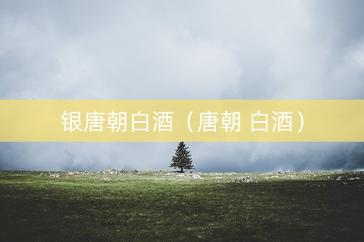 银唐朝白酒（唐朝 白酒）