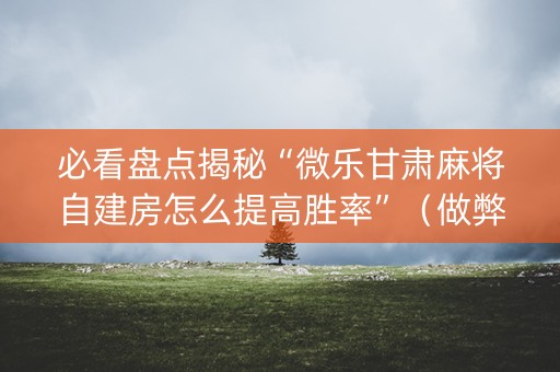 必看盘点揭秘“微乐甘肃麻将自建房怎么提高胜率”（做弊器软件下载)