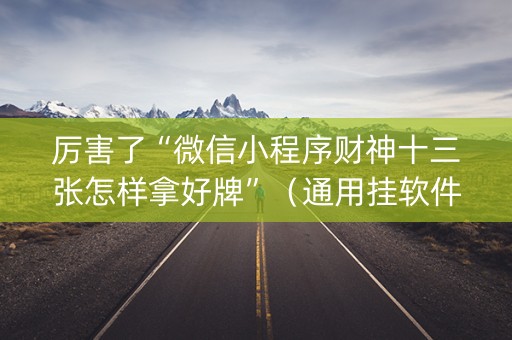 厉害了“微信小程序财神十三张怎样拿好牌”（通用挂软件多少钱)