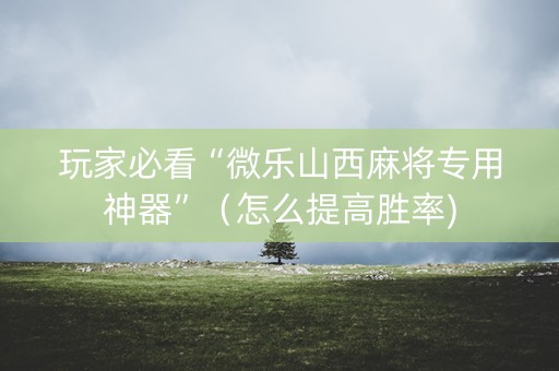 玩家必看“微乐山西麻将专用神器”（怎么提高胜率)