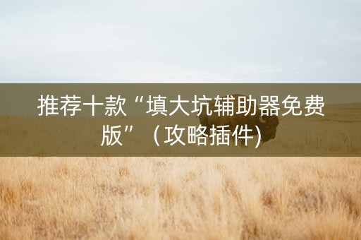 推荐十款“填大坑辅助器免费版”（攻略插件)