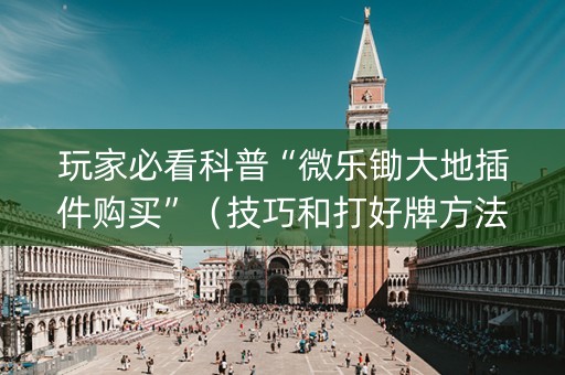 玩家必看科普“微乐锄大地插件购买”（技巧和打好牌方法)