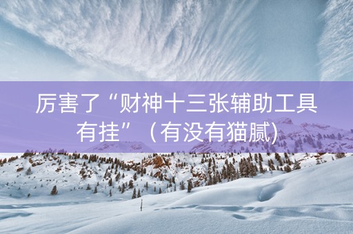 厉害了“财神十三张辅助工具有挂”（有没有猫腻)
