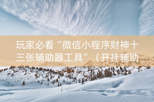 玩家必看“微信小程序财神十三张辅助器工具”（开挂辅助脚本)