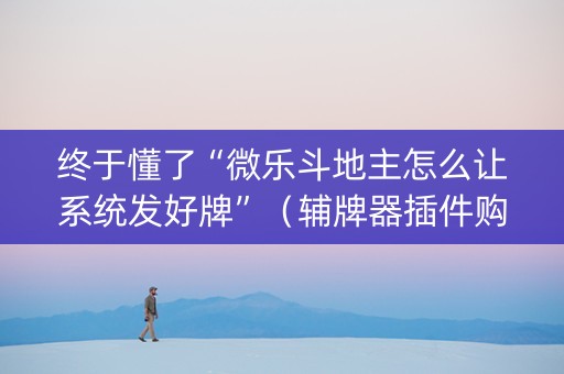 终于懂了“微乐斗地主怎么让系统发好牌”（辅牌器插件购买)