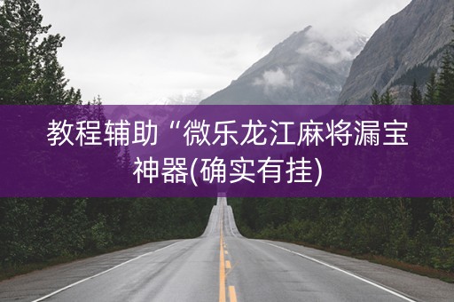 教程辅助“微乐龙江麻将漏宝神器(确实有挂)