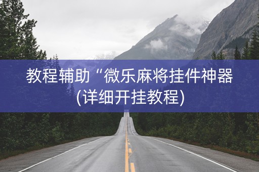 教程辅助“微乐麻将挂件神器(详细开挂教程)