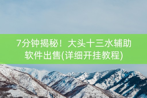 7分钟揭秘！大头十三水辅助软件出售(详细开挂教程)