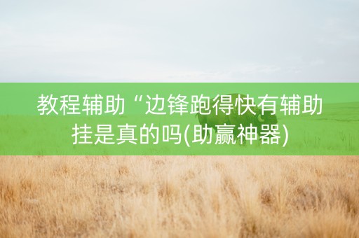 教程辅助“边锋跑得快有辅助挂是真的吗(助赢神器)
