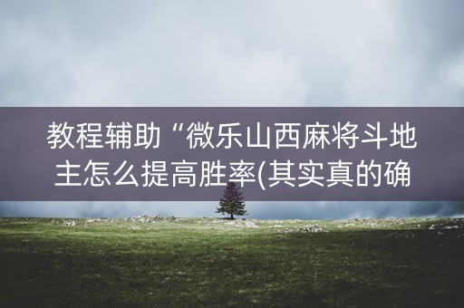 教程辅助“微乐山西麻将斗地主怎么提高胜率(其实真的确实有挂)