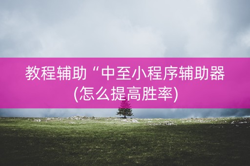 教程辅助“中至小程序辅助器(怎么提高胜率)