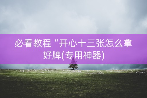 必看教程“开心十三张怎么拿好牌(专用神器)