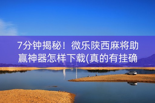 7分钟揭秘！微乐陕西麻将助赢神器怎样下载(真的有挂确实有挂)