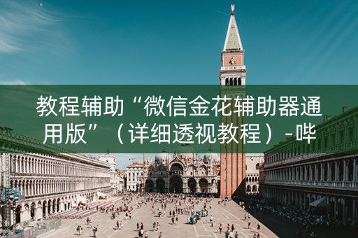 教程辅助“微信金花辅助器通用版”（详细透视教程）-哔哩哔哩
