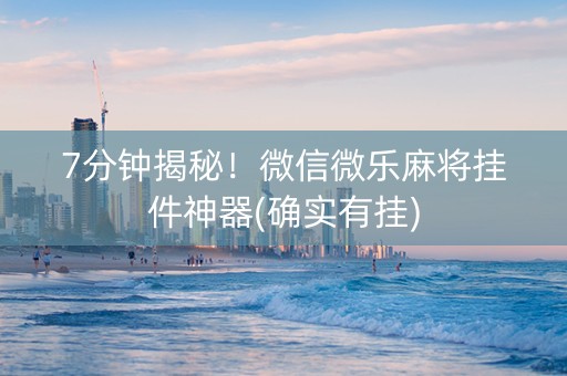 7分钟揭秘！微信微乐麻将挂件神器(确实有挂)